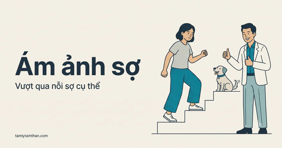 Rối loạn lo âu ám ảnh sợ: sợ xã hội, sợ khoảng trống và ám ảnh sợ đặc hiệu